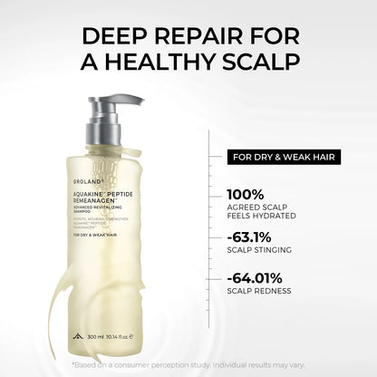 GROLAND Hydrating Shampoo for Dry Hair with Panthenol, Hyaluronic Acid, Ceramide NP, Caffeine, Remeanagen and Aquakine for Soft, Manageable Hair, 10.14 Fl Oz (300 Ml)