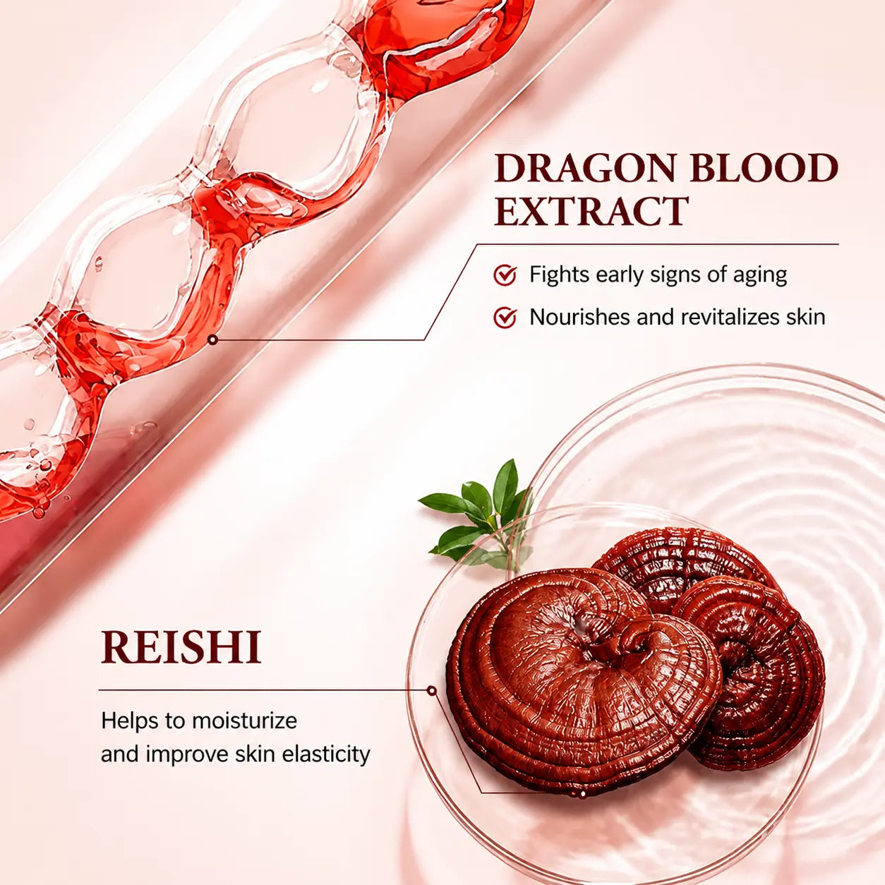 LBLS Dragon&
