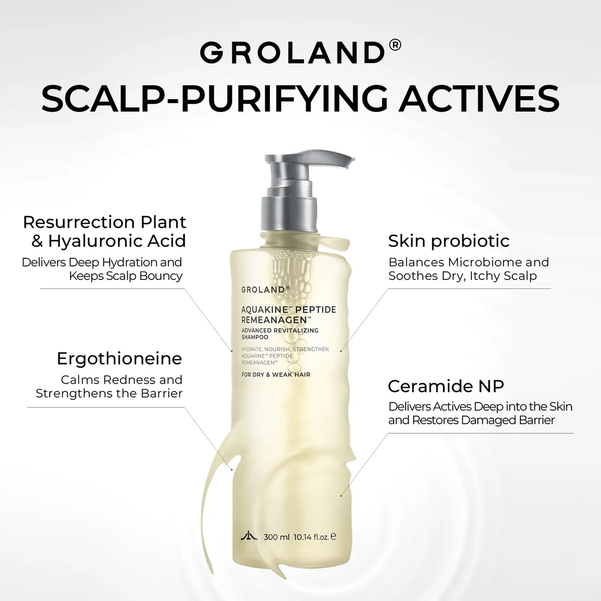 GROLAND Hydrating Shampoo for Dry Hair with Panthenol, Hyaluronic Acid, Ceramide NP, Caffeine, Remeanagen and Aquakine for Soft, Manageable Hair, 10.14 Fl Oz (300 Ml)
