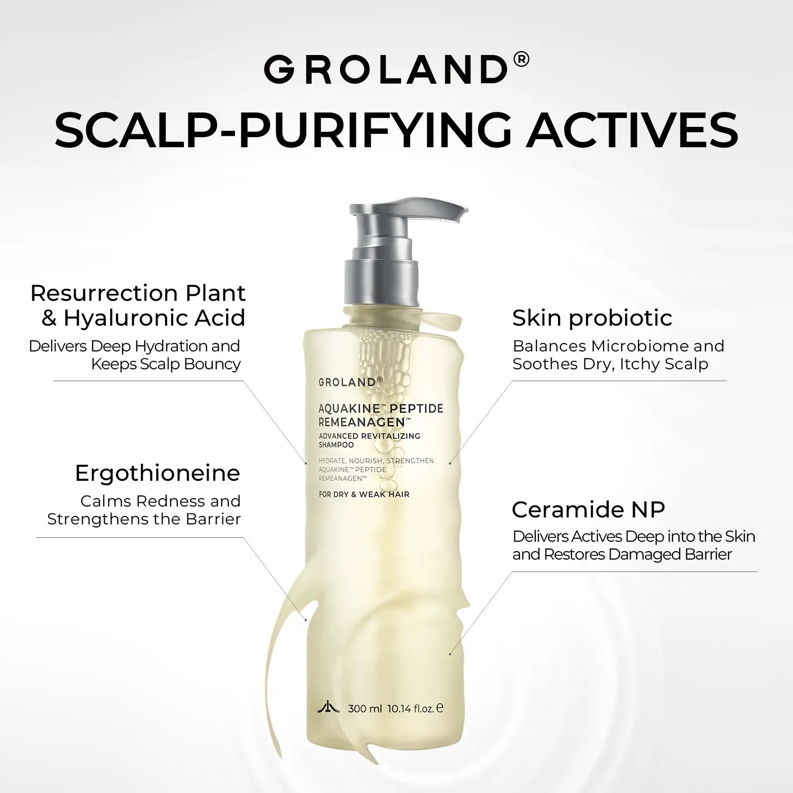 GROLAND Hydrating Shampoo for Dry Hair with Panthenol, Hyaluronic Acid, Ceramide NP, Caffeine, Remeanagen and Aquakine for Soft, Manageable Hair, 10.14 Fl Oz (300 Ml)