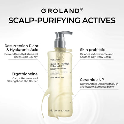 GROLAND Hydrating Shampoo for Dry Hair with Panthenol, Hyaluronic Acid, Ceramide NP, Caffeine, Remeanagen and Aquakine for Soft, Manageable Hair, 10.14 Fl Oz (300 Ml)