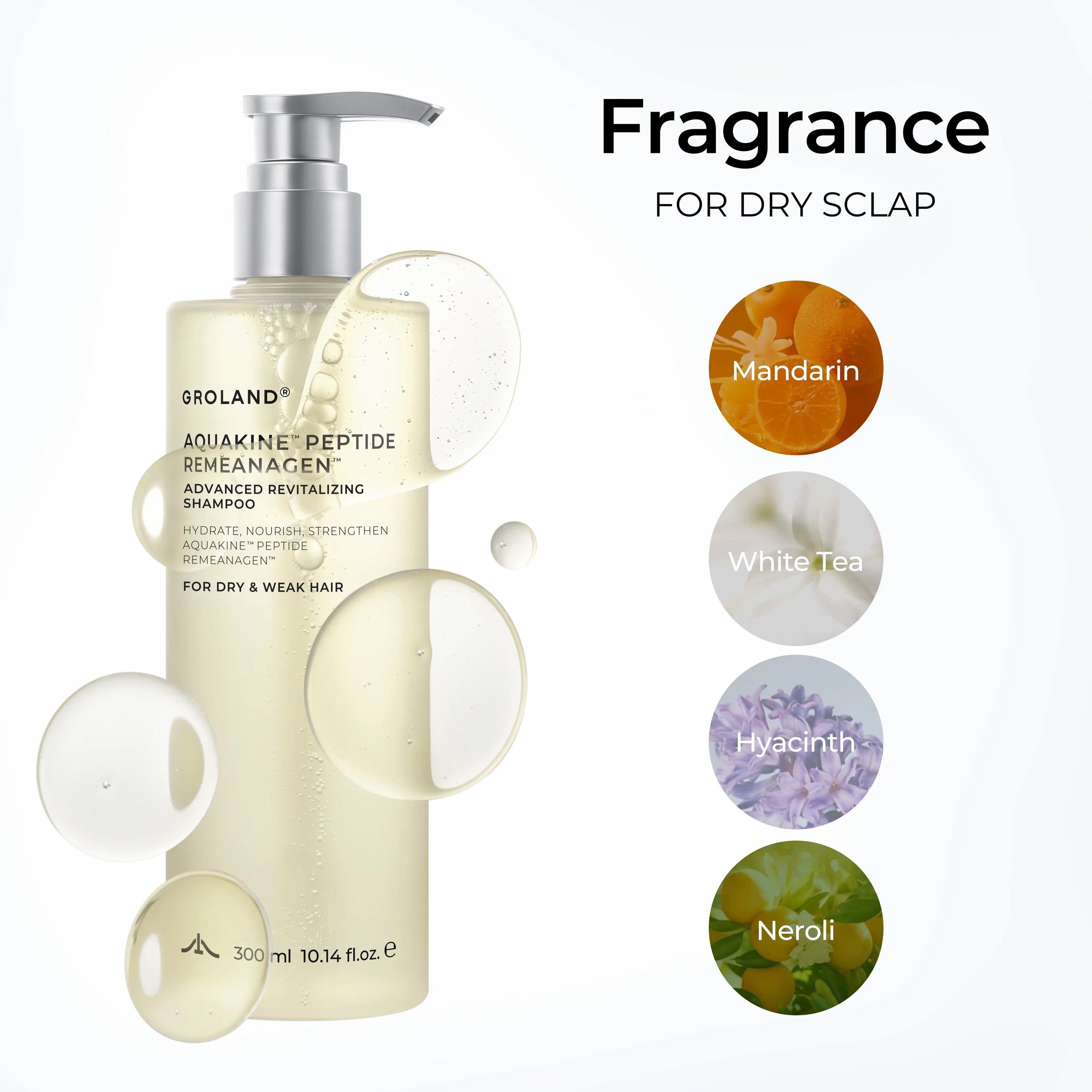 GROLAND Hydrating Shampoo for Dry Hair with Panthenol, Hyaluronic Acid, Ceramide NP, Caffeine, Remeanagen and Aquakine for Soft, Manageable Hair, 10.14 Fl Oz (300 Ml)