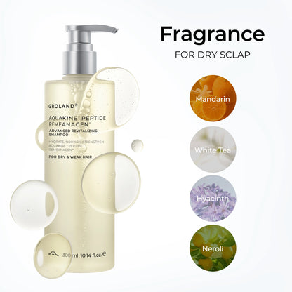 GROLAND Hydrating Shampoo for Dry Hair with Panthenol, Hyaluronic Acid, Ceramide NP, Caffeine, Remeanagen and Aquakine for Soft, Manageable Hair, 10.14 Fl Oz (300 Ml)