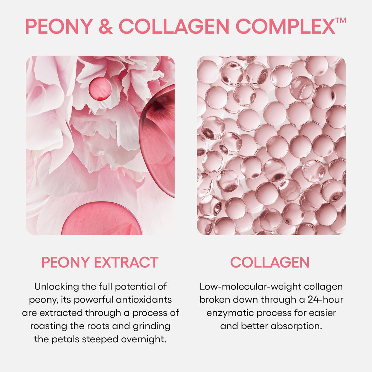 Bouncy and Firm Sleeping Mask: Revitalize, Smooth, Peony &amp; Collagen Complex &amp; Barrier-Boosting Hydration